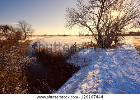 Dutch canal, wooden fence and tree in snow at sunrise