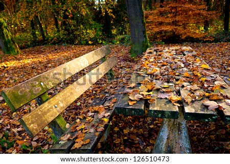 wooden table and bench covered with many yellow dry autumn leaves in forest