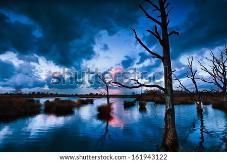 stormy sunset over bog with dead trees, Dwingelderveld, Drenthe, Netherlands