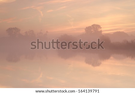 tree silhouettes by lake during misty sunrise, Drenthe, Netherlands