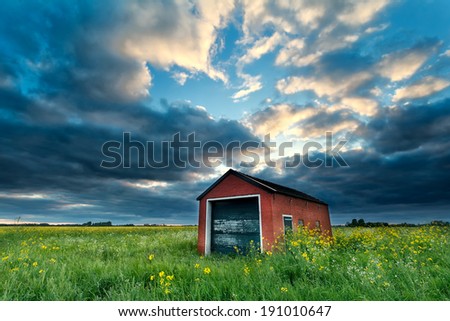 farmhouse on rapeseed field at stormy sunset, Netherlands