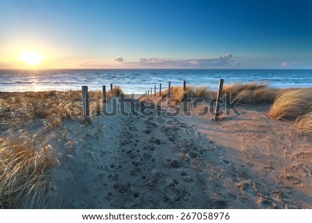 path on sand to ocean beach at sunset, Netherlands