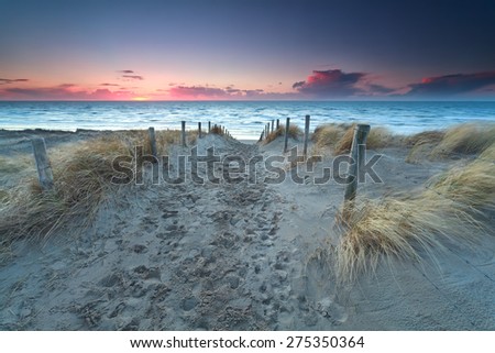 walking to North sea beach at sunset, North Holland, Netherlands