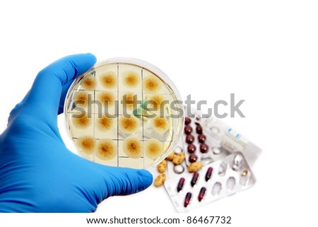 arm in glove with fungi on the plate and medicines on the background