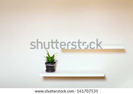 two shelves on the white wall and green plant in pot