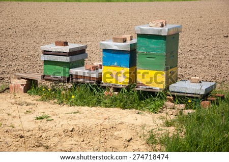 Colored bee-houses in a field.
