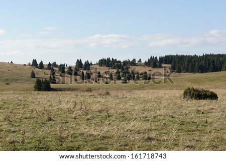 Meadow near village Ve?kÃ?Â© BorovÃ?Â©, Liptov, Slovakia