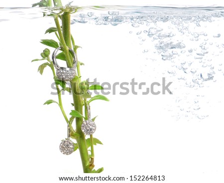 Costume jewelry on fresh green stem under water surrounded with bobbles