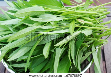 A bouquet of Water spinach in  metallic bowl