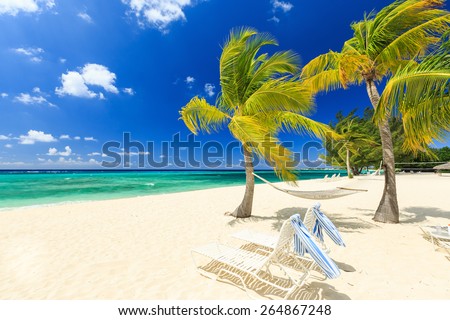 Beach chairs and palm trees at 7 mile beach, Grand Cayman