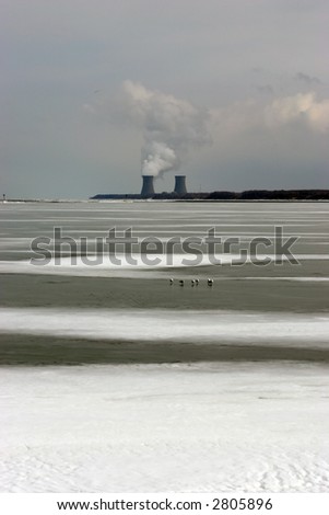 lake erie plants