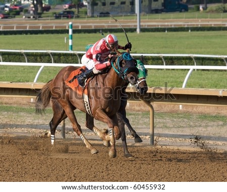 CHESTER, WEST VIRGINIA - JUNE 14: Race horses head down the stretch at The Mountaineer Racetrack on June 14, 2010 in Chester West Virginia.