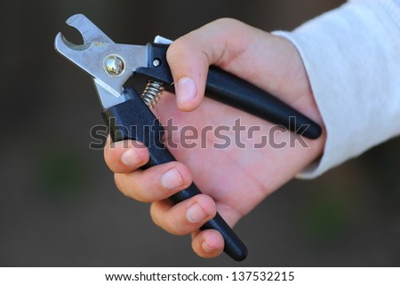 close up view of someone holding a pair of dog nail clippers