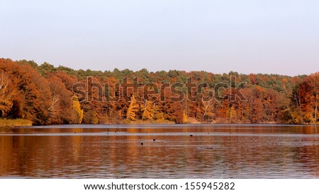 Colorful red-brown fall forest lines a lake in Berlin, Germany.