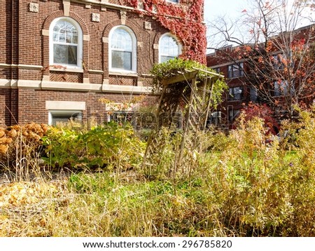 Overgrown fall garden in the Hyde Park neighborhood of Chicago, IL, USA.