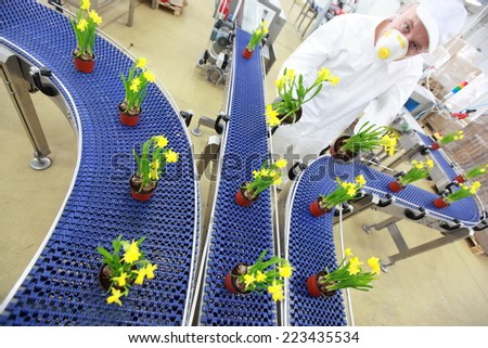 engineer working with flowers on conveyor belt,contemporary business