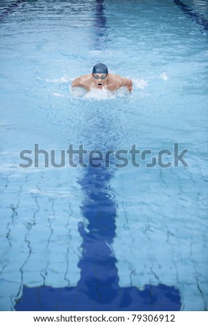 Professional swimmer in swimming pool - butterfly swimming stroke