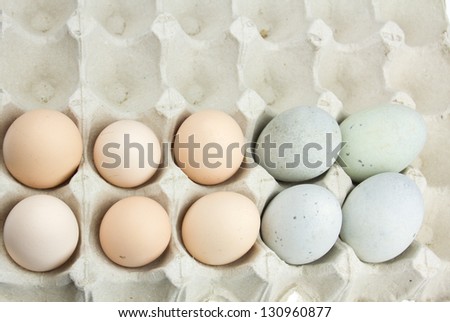 Close-up of eggs in the egg package