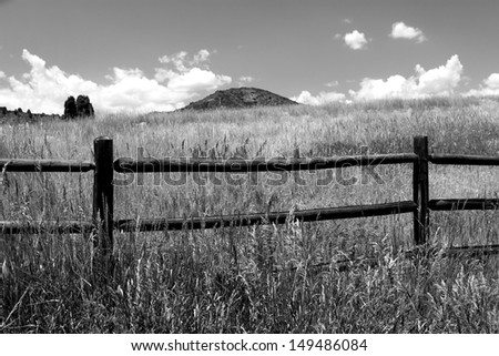 black and white meadow scene with fence