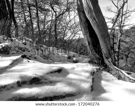 black and white snow shadows scene
