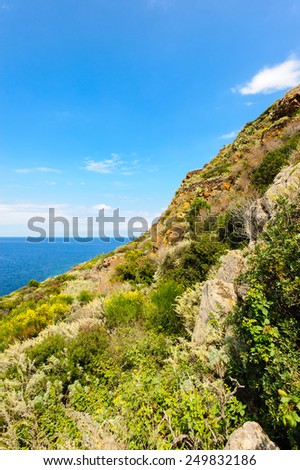 Nature of Filicudi island, Aeolian Islands, Sicily, Italy.
