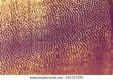 little shiny golden dots on a wide surface, abstract background