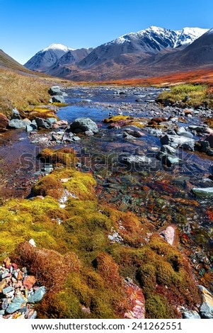 Colorful autumn tundra and mountain ridge behind the Malaya Belaya river stream, Russia