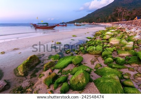 Evening sea sunset with a wooden boat near the shore with green stones