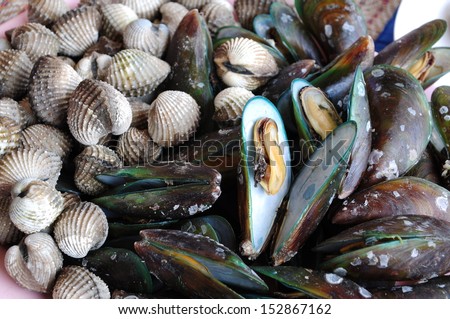 Mussels & cockles for special dinner