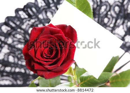 Single red rose with love note paper. Put your message on it!