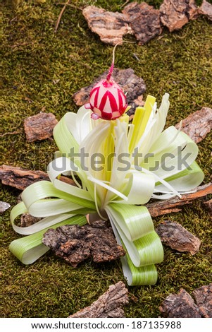 Carved flower of leeks with a flower made ??of radish in a forest soil / Flower of leek on forest floor