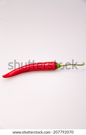 Red chili pepper on gray background / Red chili pepper