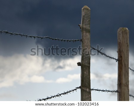 Pasture fence close up