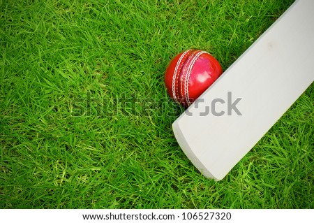 cricket bat and ball on green grass pitch with copy space