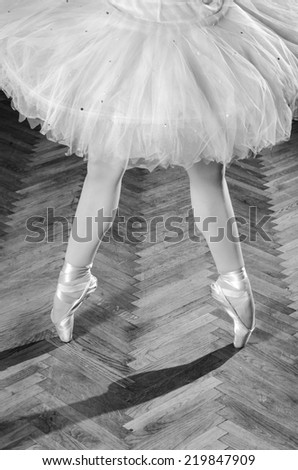 Young female ballerina standing on toes, low section, wooden floor.
