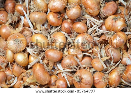 A lot of onion ready for sale on the market. Useful for backgrounds.