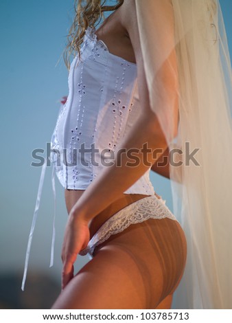 girl in a corset and veil in the sky