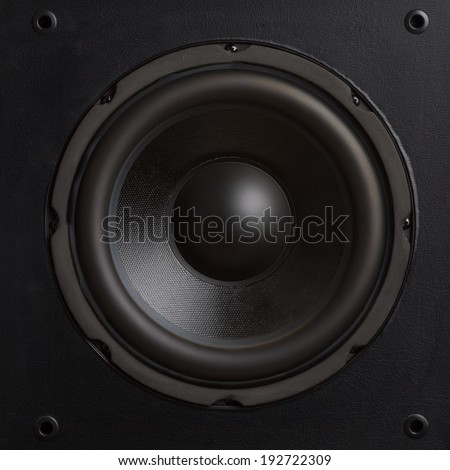 Audio speaker. Subwoofer close-up