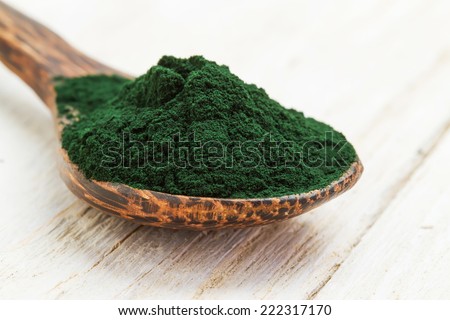Closeup of an organic spirulina algae powder in a wooden spoon