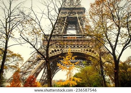 Eiffel Tower behind autumnal trees. Autumn in Paris concept
