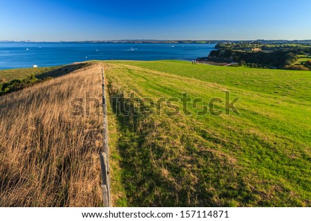 Summer Landscape with Green Field and Blue Sky on the Pacific Sea Coast, Shakespear Regional Park, Auckland Region, New Zealand