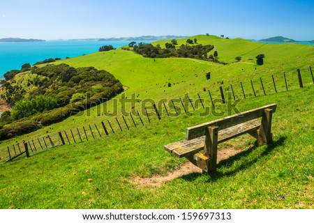 Summer Landscape with Green Field and Blue Sky on the Pacific Sea Coast, Duder Regional Park, Auckland Region, New Zealand