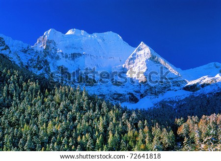 snow mount in DaoCheng, SiChuan,China