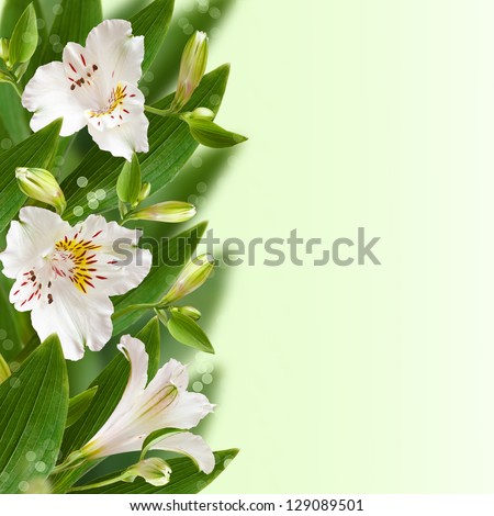 Beautiful white flowers with bokeh. Floral border.