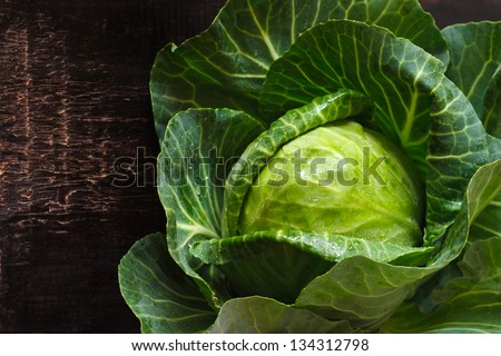 Fresh kitchen garden cabbage with water drops on a wooden background.