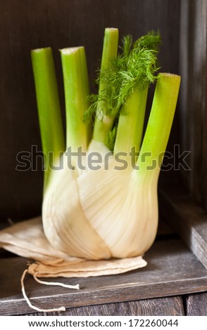 Fresh fennel bulb on a wooden background. Selective focus.