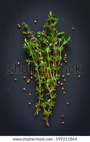 Bunch of fresh thyme with coriander seeds on a black background.