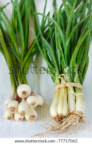 Bunches of fresh green onion and garlic on a white garden board.