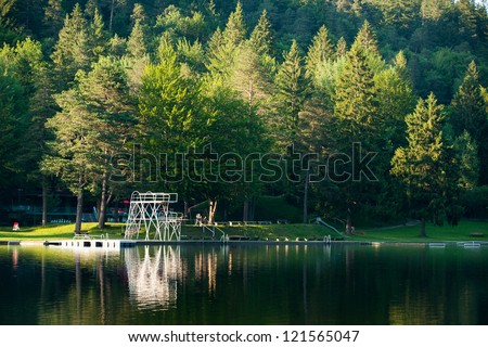diving platform at swim lake in midden of green forest and nature
