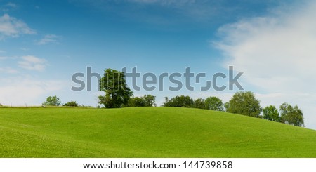 green meadow hill with trees on soft blue sky